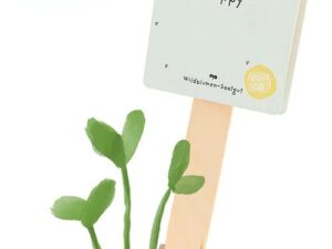 Saatgruß 'Bee Happy'
