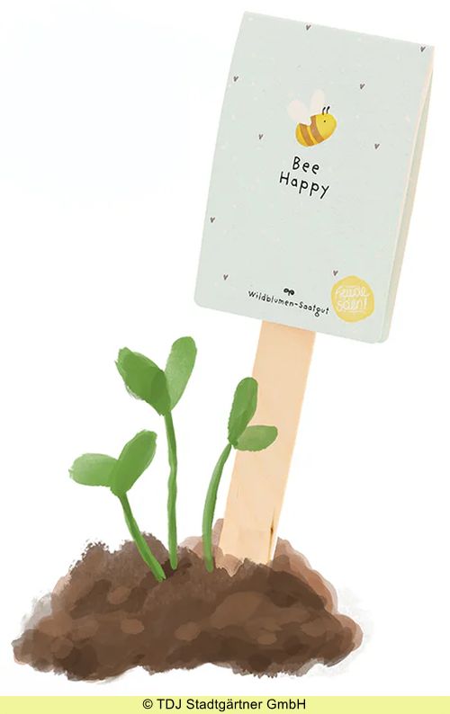Saatgruß 'Bee Happy'