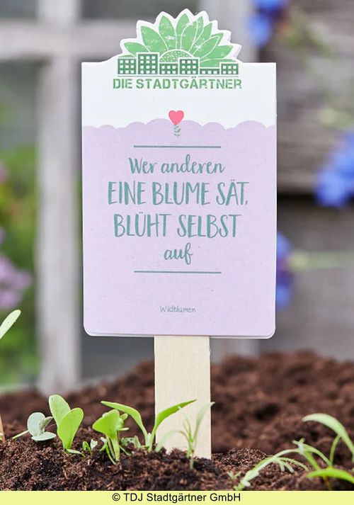 Saatgruß 'Wer anderen eine Blume sät'