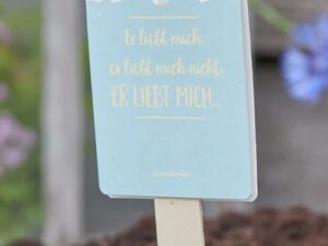 Saatgruß 'Er liebt mich, er liebt mich nicht'
