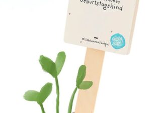 Saatgruß 'Du wunderschönes Geburtstagskind'