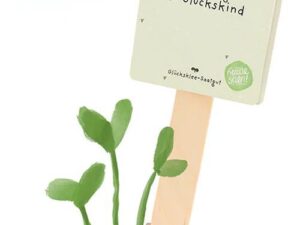 Saatgruß 'Viel Erfolg du Glückskind'