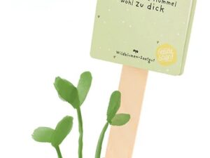 Saatgruß 'Hat die Blume einen Knick, war die Hummel wohl zu dick'