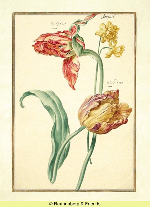 Postkartenbuch 'Aus dem Karlsruher Tulpenbuch' – Bild 15