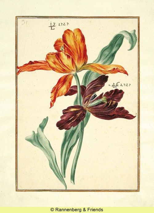 Postkartenbuch 'Aus dem Karlsruher Tulpenbuch' – Bild 3
