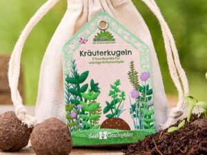 Kräuter - 5 Saatkugeln