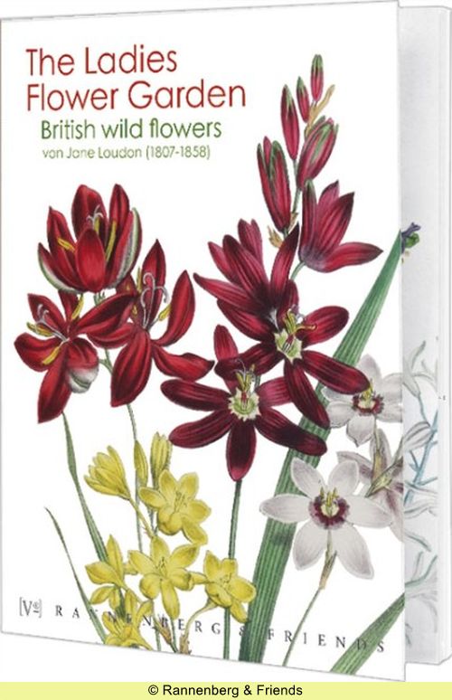 Postkartenbuch aus 'The Ladies Flower Garden'