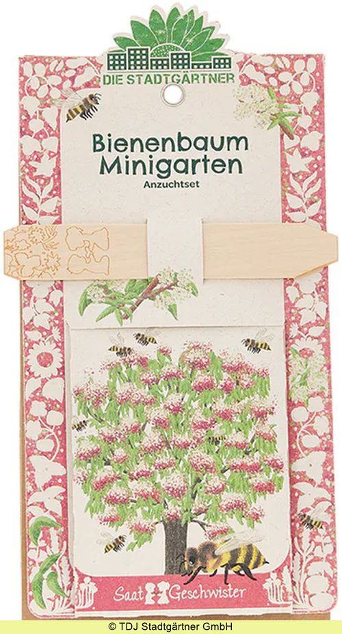 Minigarten Bienenbaum - Anzuchtset (Saatgut)