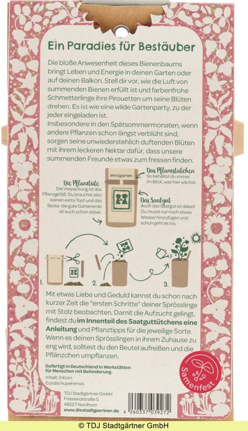 Minigarten Bienenbaum - Anzuchtset (Saatgut) – Bild 2