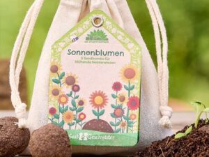 Sonnenblumen - 5 Saatkugeln