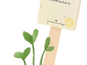 Saatgruß 'Hallo Sonnenschein'