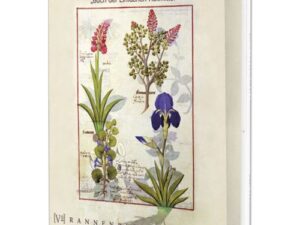 Postkartenbuch 'Testard'