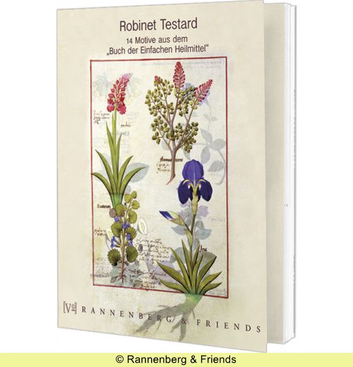 Postkartenbuch 'Testard'