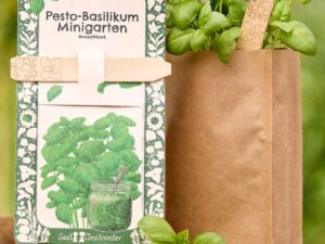 Minigarten Pesto-Basilikum - Anzuchtset (Bio-Saatgut)