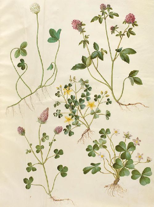 Postkartenbuch 'Aus dem Gottorfer Codex' – Bild 13