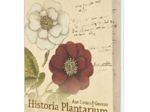 Postkartenbuch 'Conrad Gesner Historia Plantarum'
