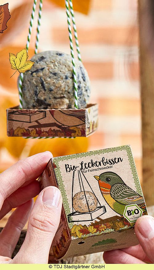 Futterknödel für Wildvögel