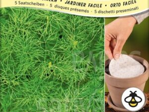 Dill (Saatscheibe)