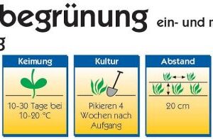 Dachbegrünung Extensiv - Mischung Kräuter (Saatgut)