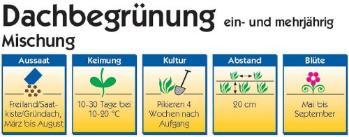 Dachbegrünung Extensiv - Mischung Kräuter (Saatgut)