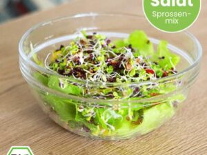 Salatmix (Bio-Saatgut)
