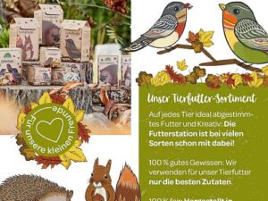 Futter für Eichhörnchen