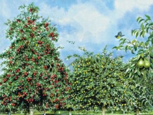 Streuobstwiese